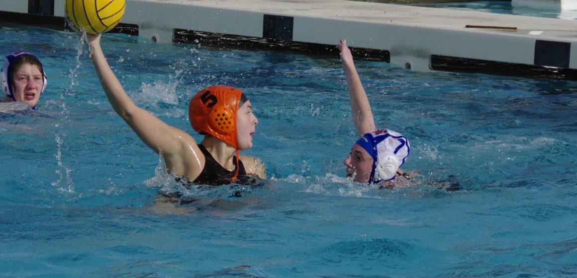 polo shot